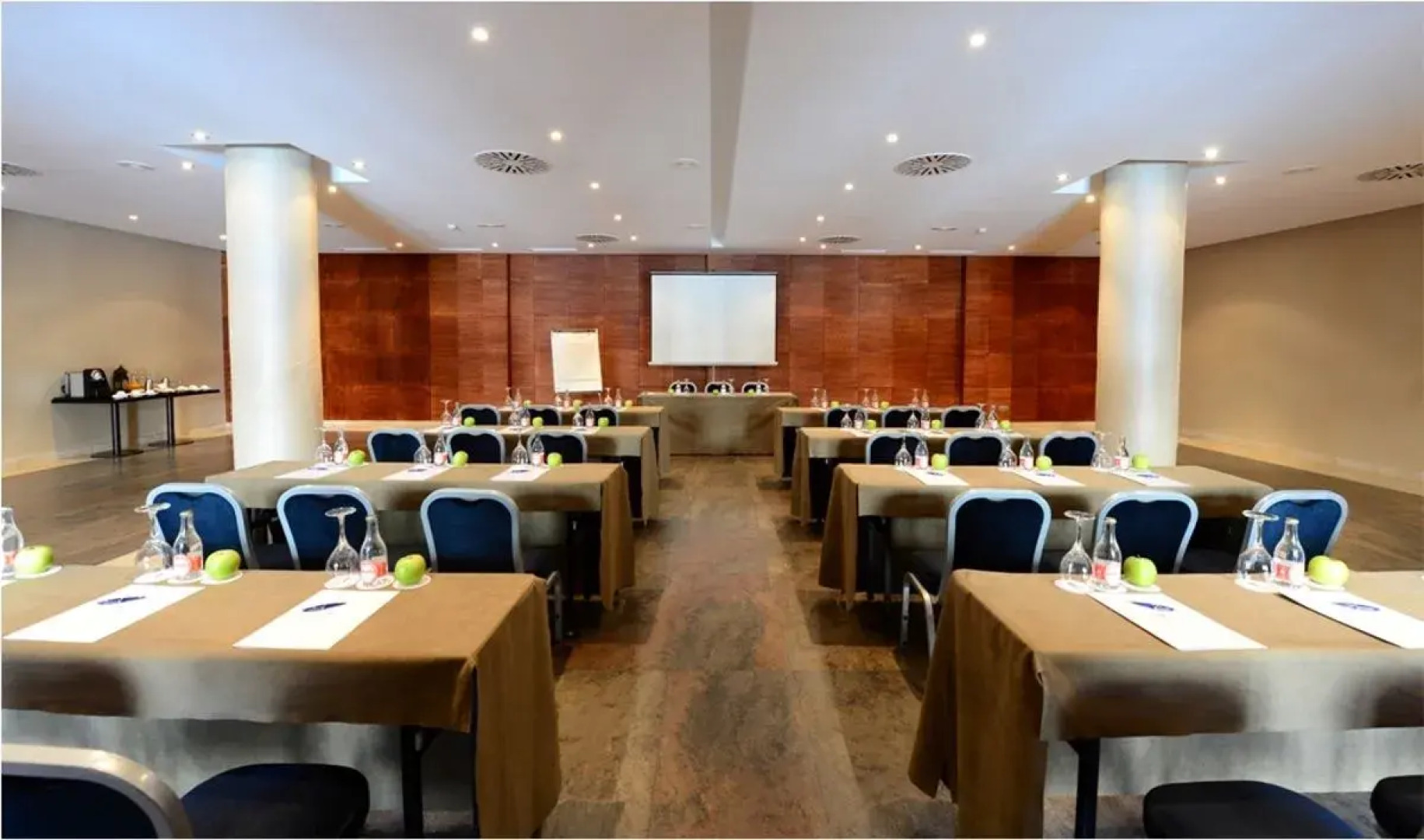 Castilla Termal Balneario de Olmedo