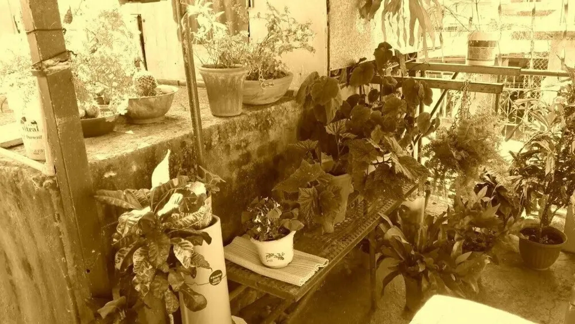 Casa Carmen y Lorena (Santiago de Cuba)