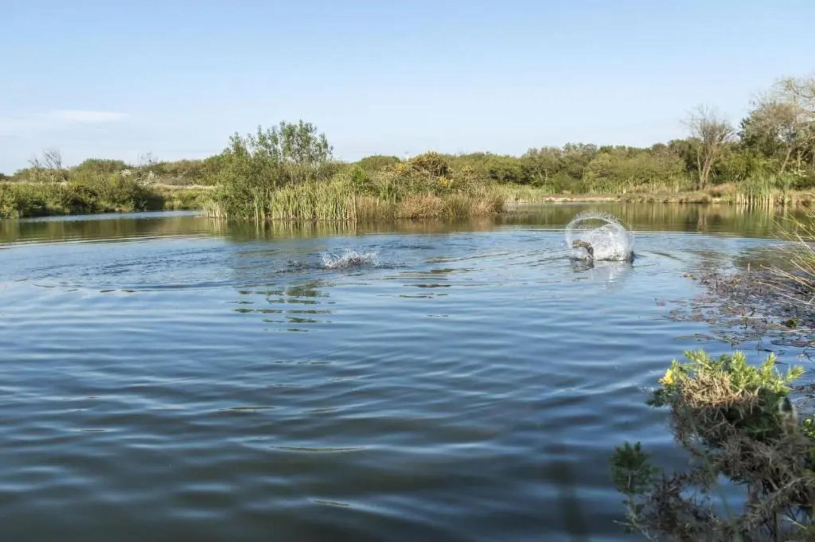 Fern Cottage - Luxurious 1 Bedroom - Blossom Farm