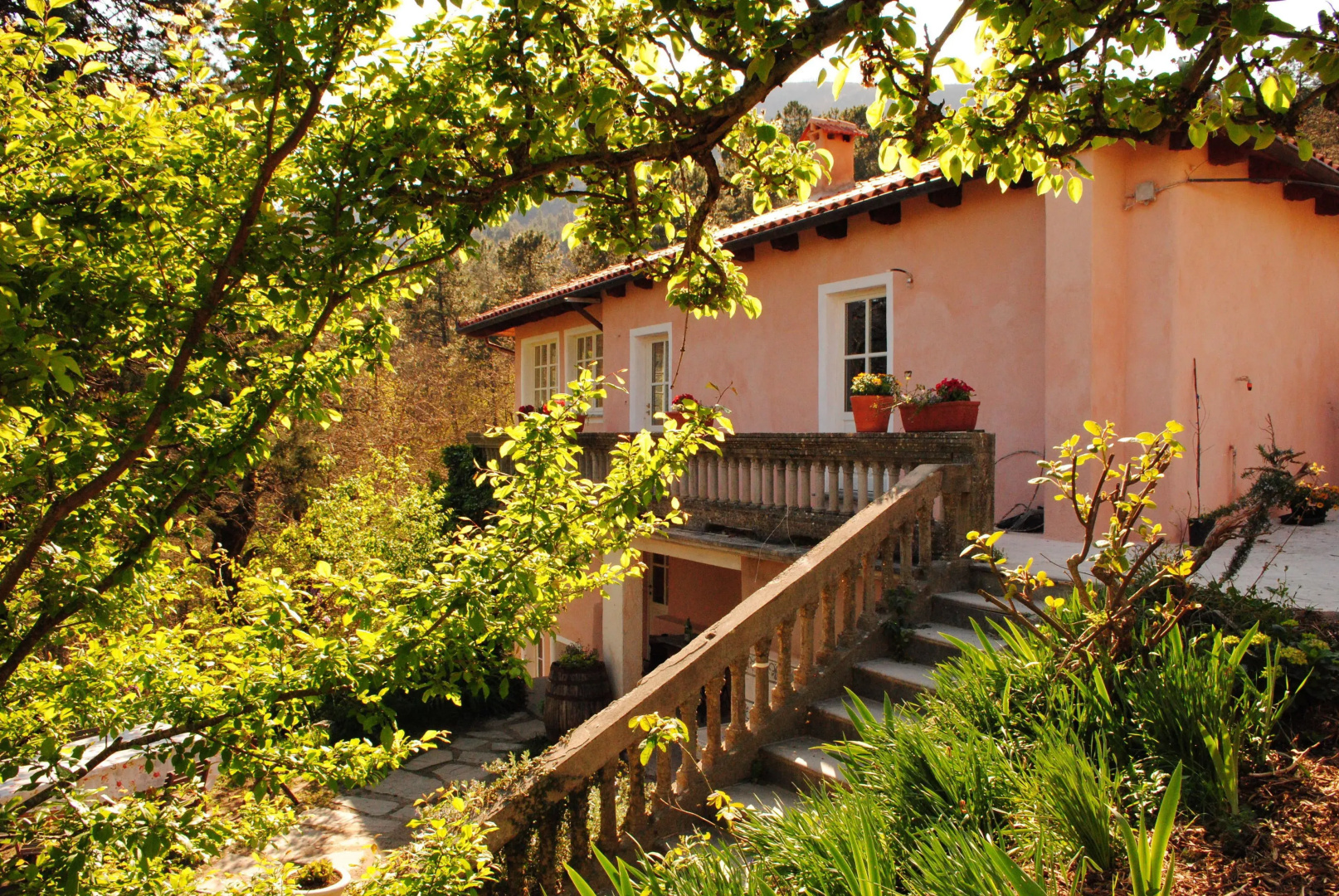 Agriturismo il Filo di Paglia