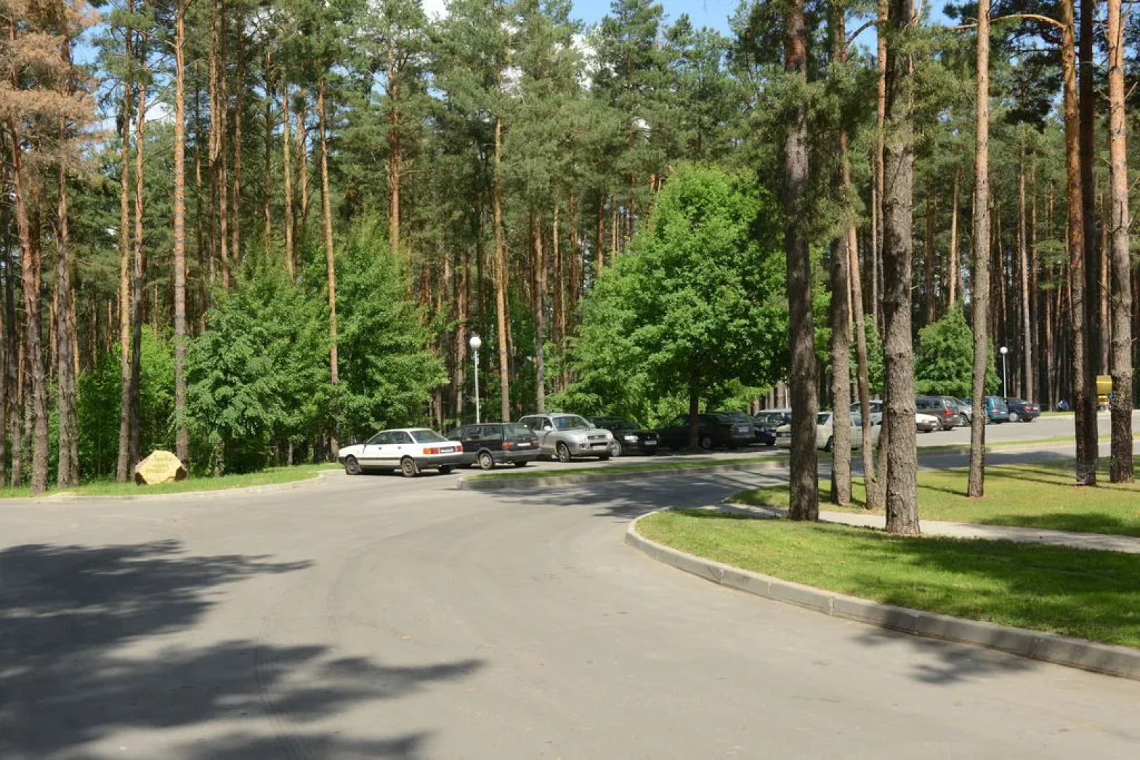 Сосны (Гомельская обл.)