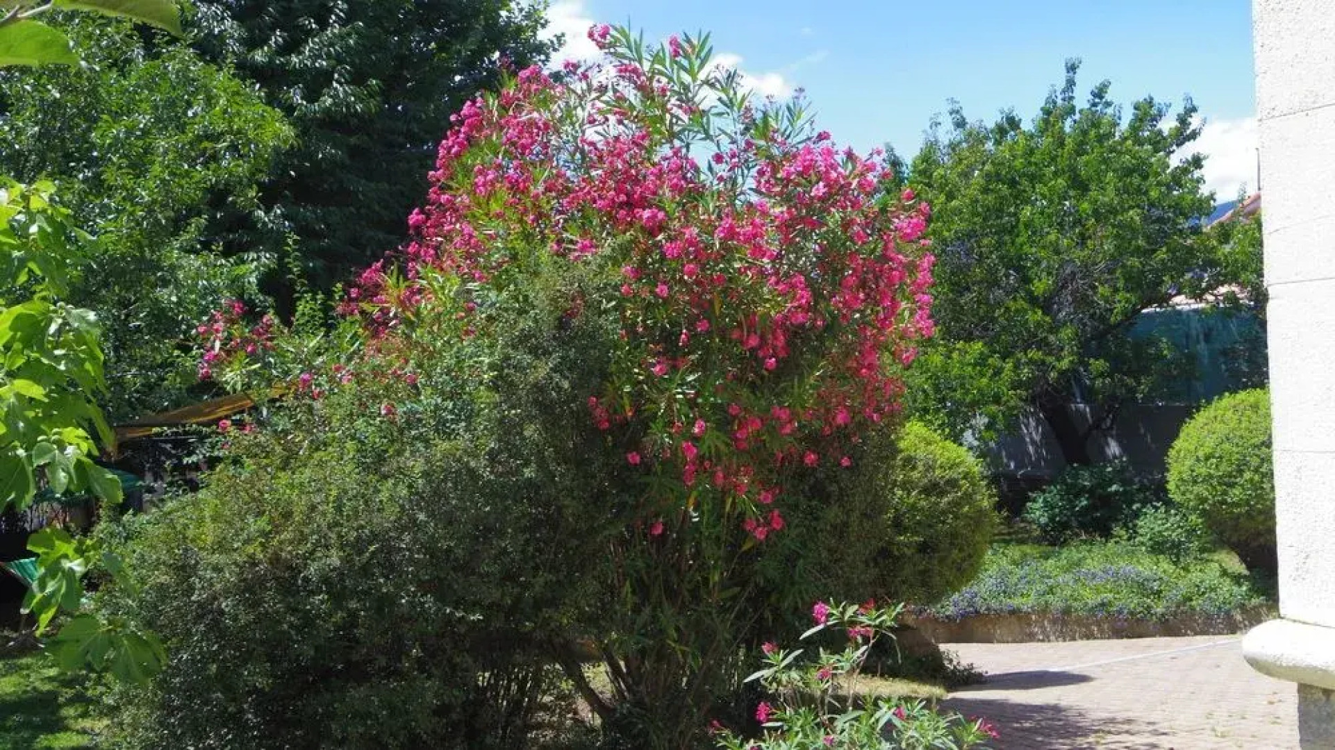 La Vernétoise