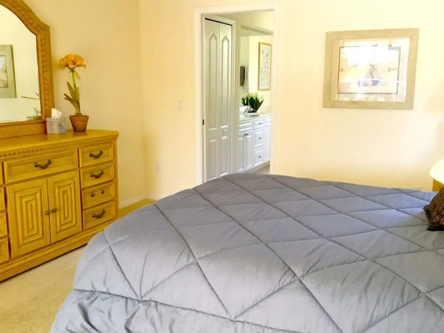 Sunny Daze Rotonda West