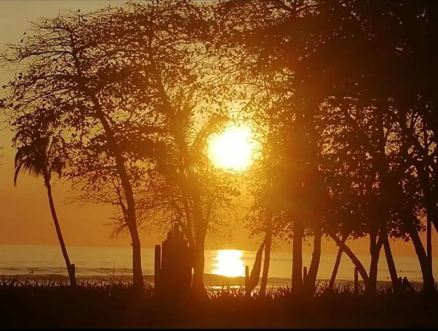 Don Jons Lodge -Surf & Yoga