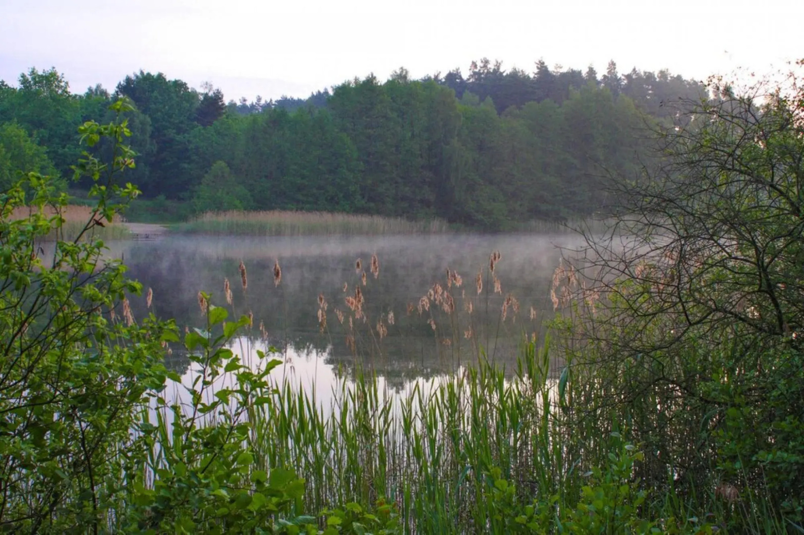 Semi-detached house Seepferdchen, Lohmen