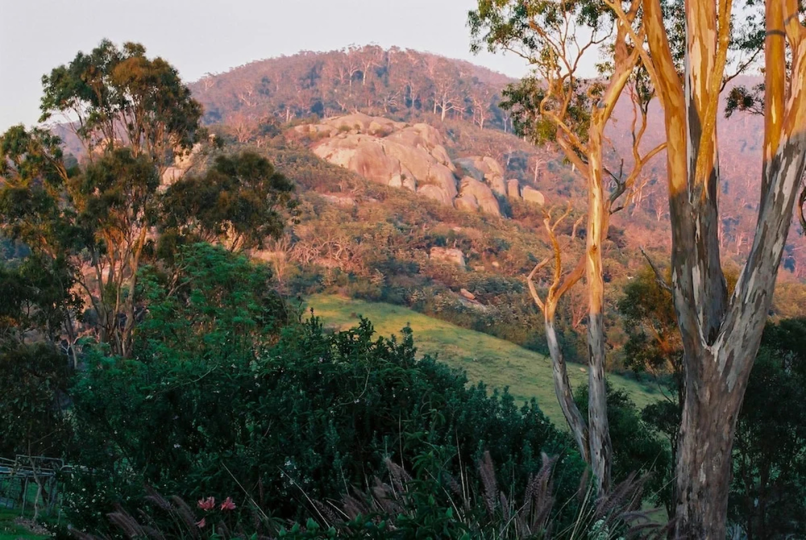 The Bryn At Tilba Family Cottage