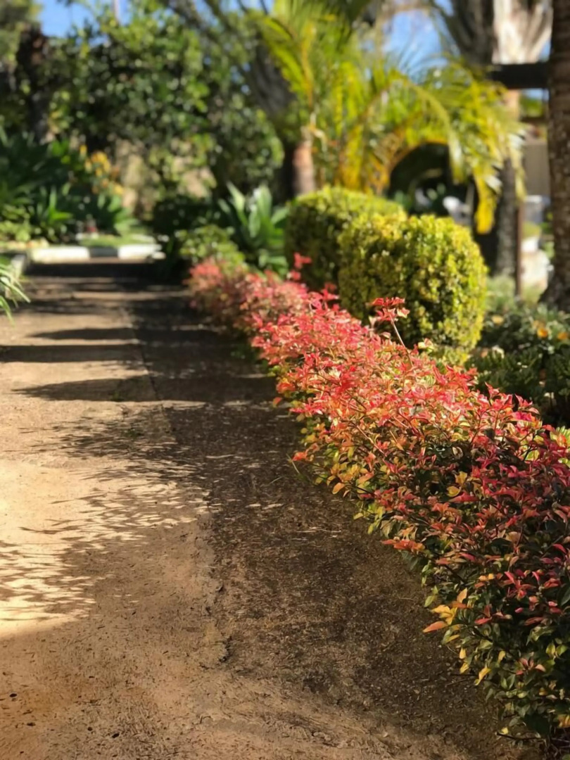 Pousada Quinta dos Colibris