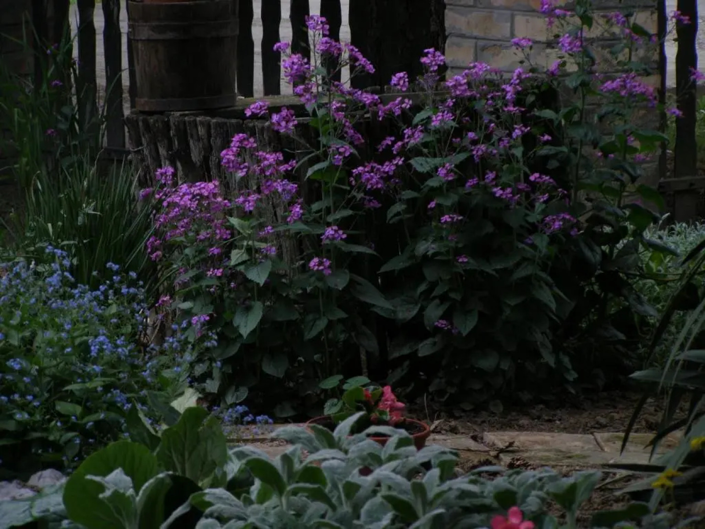 Apartments Bakine Čarolije