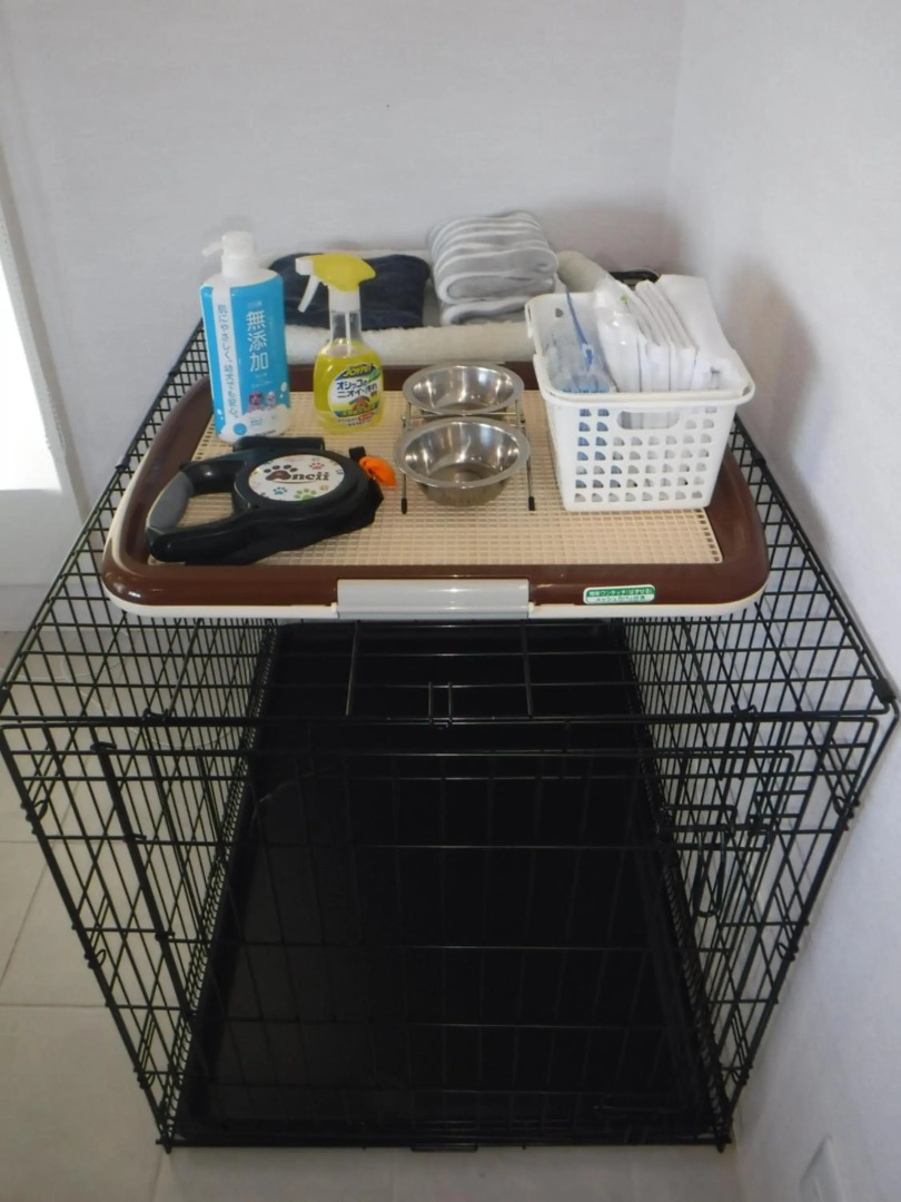 Sol e Mar (Amami Oshima)