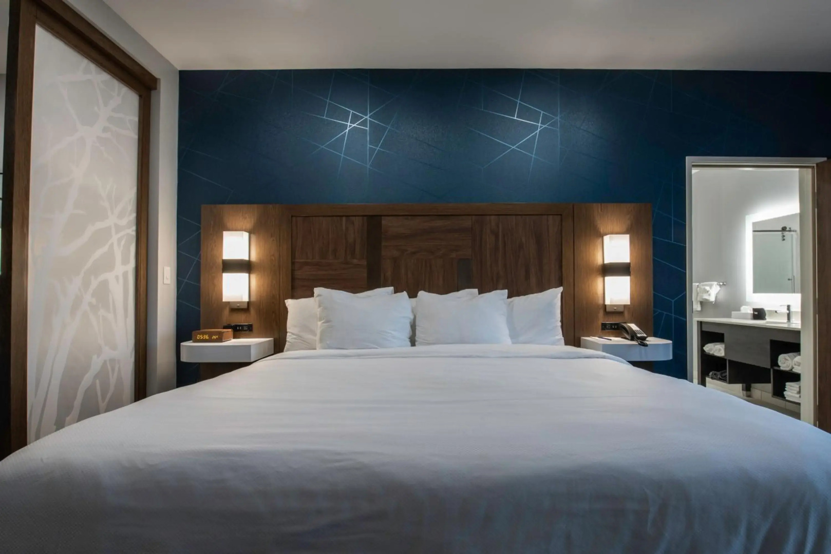 Comfort Suites Greenville Airport