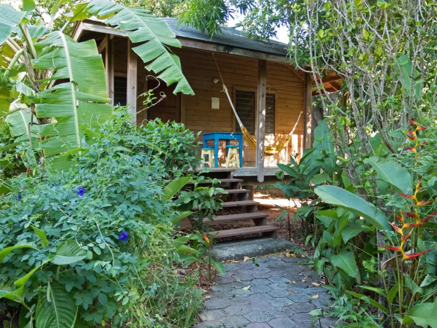 Hotel Chillies and Native Sons Diving