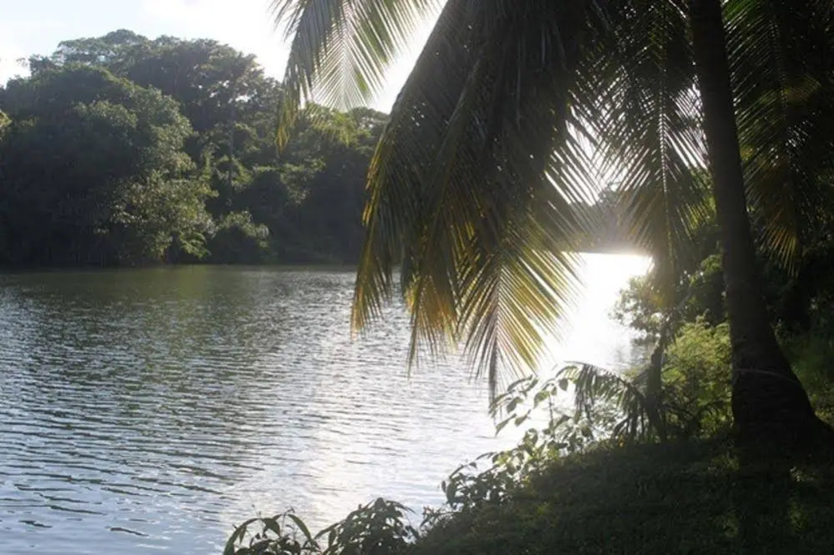 River House Lodge