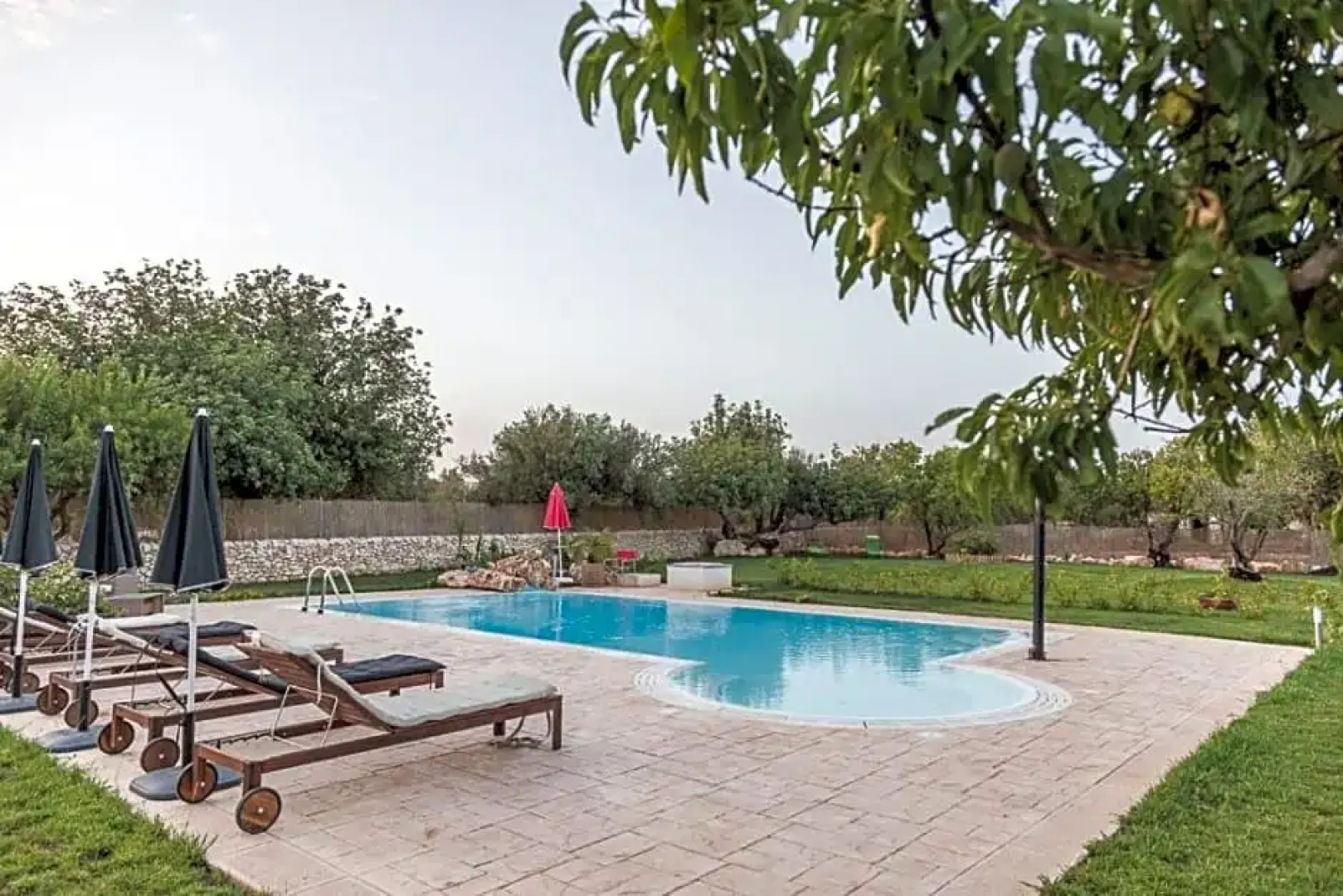 Abbraccio del Carrubo