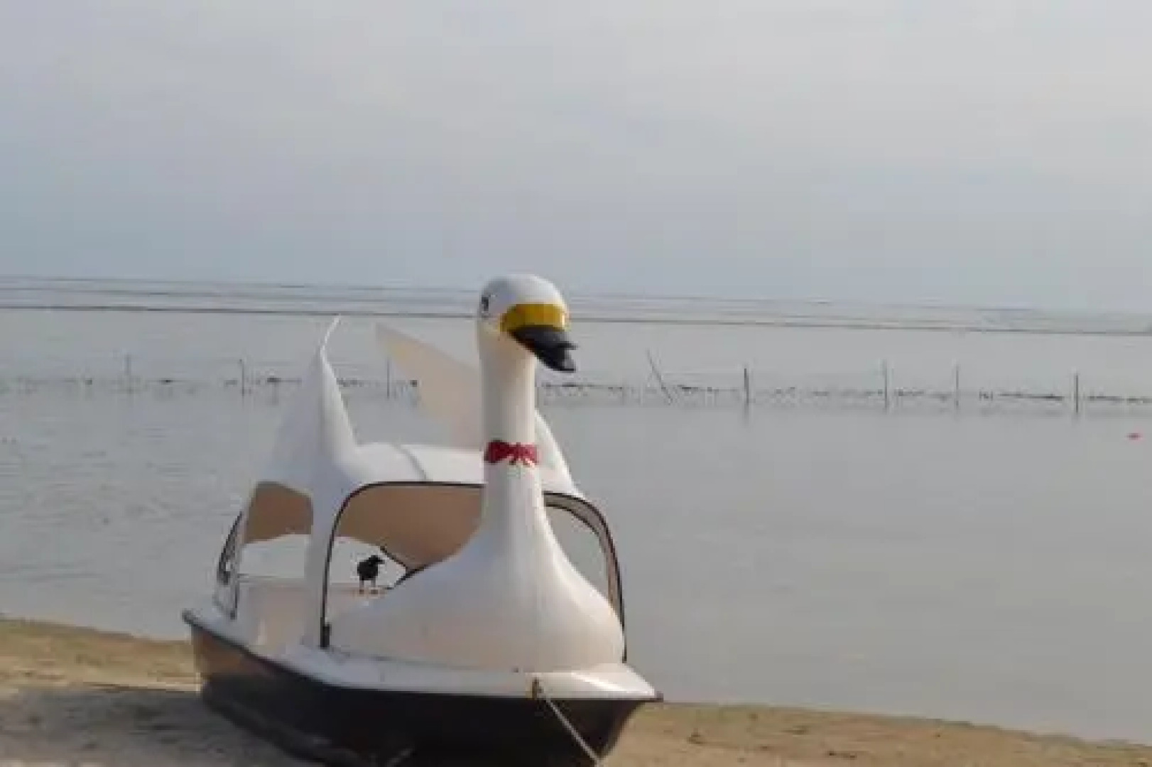 Allai Samudra Beach Resort