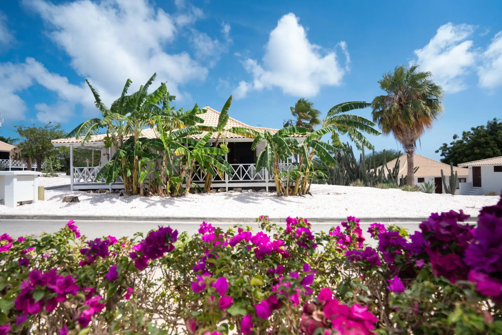 Papagayo Beach Resort