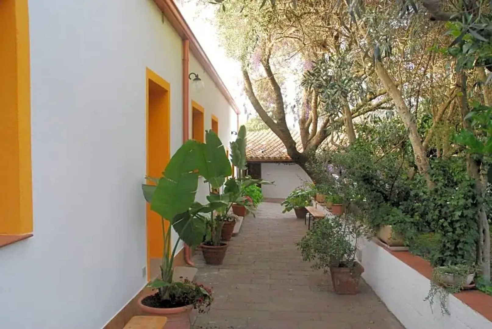 B&B Su Narboni Mannu E4247