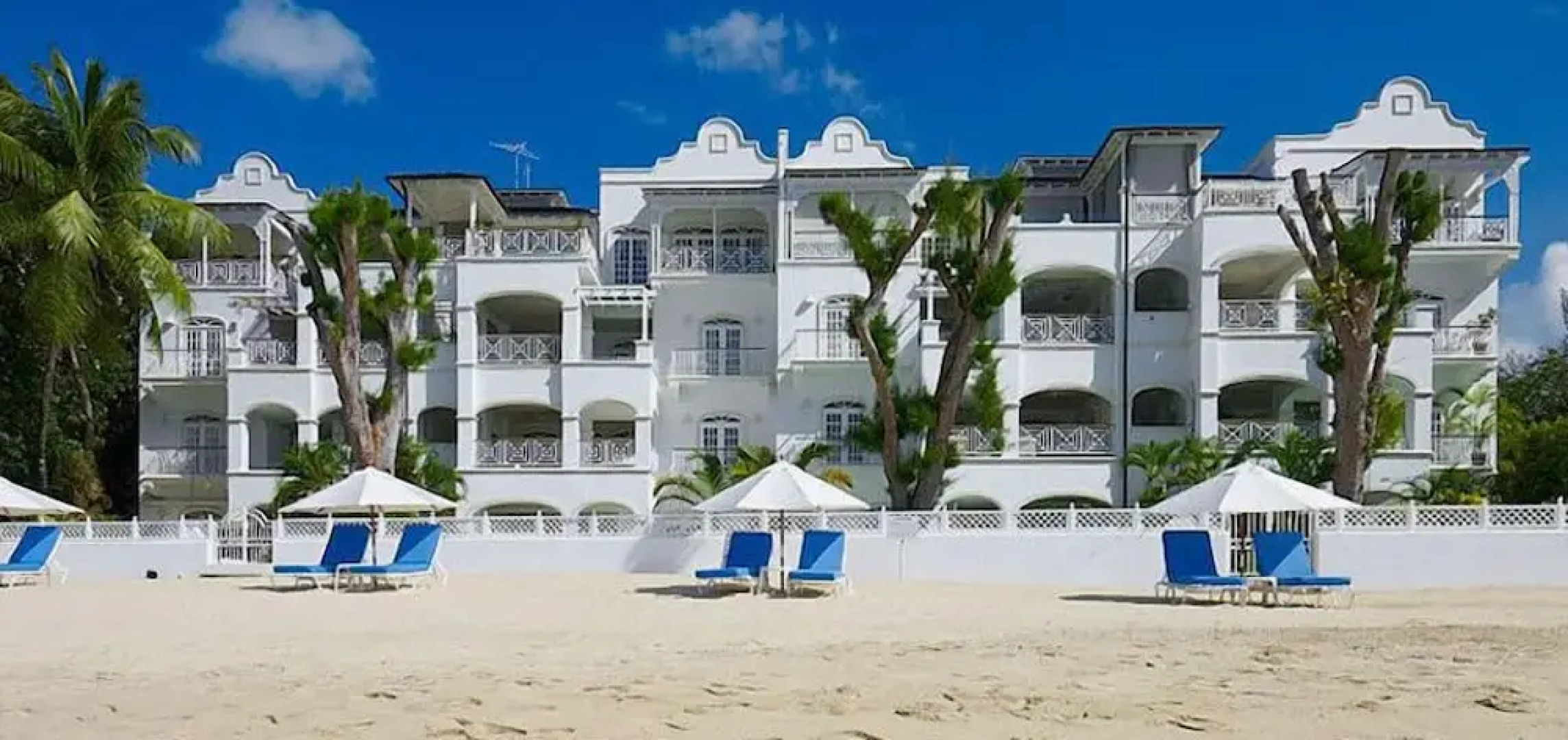 Old Trees 3 - Condo Halcyon