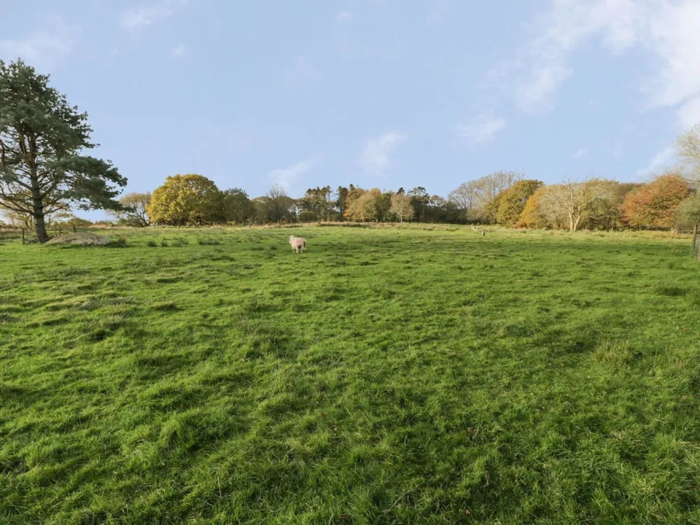 Ynys Pandy, Garndolbenmaen