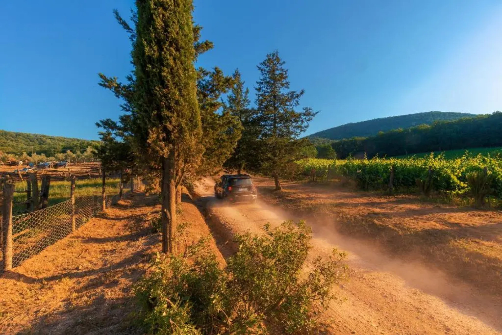 La Cerreta - Terme di Sassetta