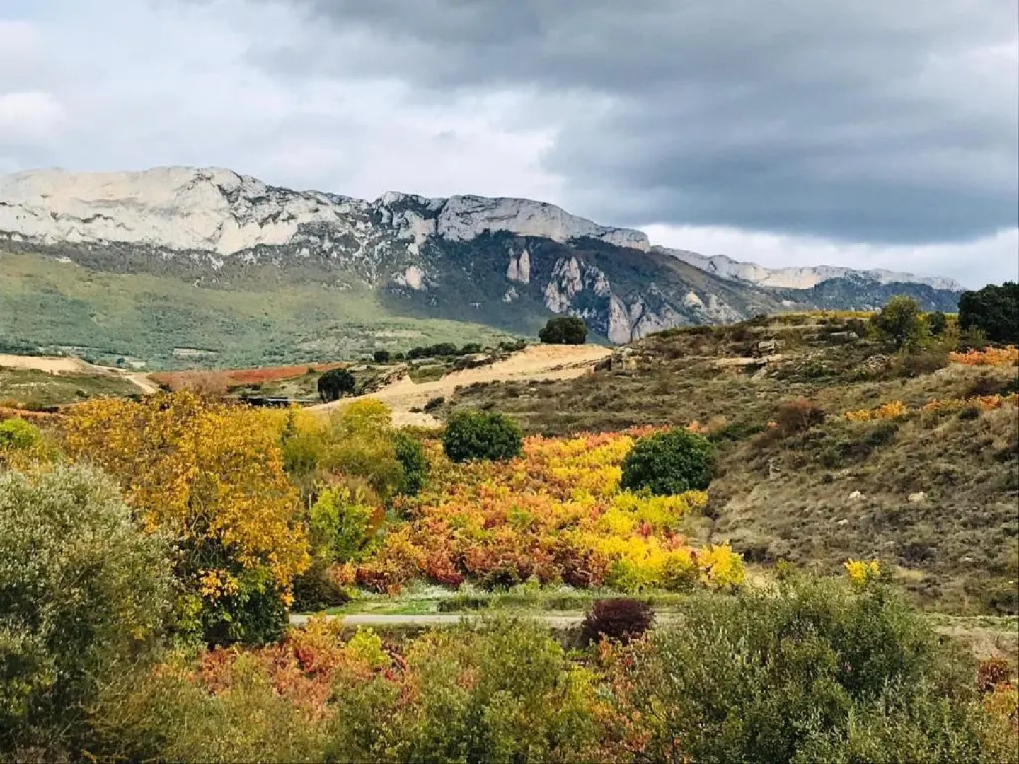 La Morada del Pintor EVI00178