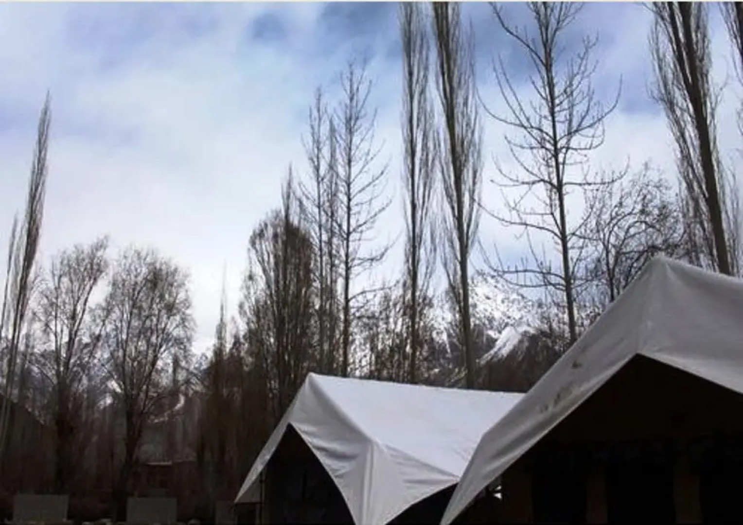 TIH Royal Desert Camp