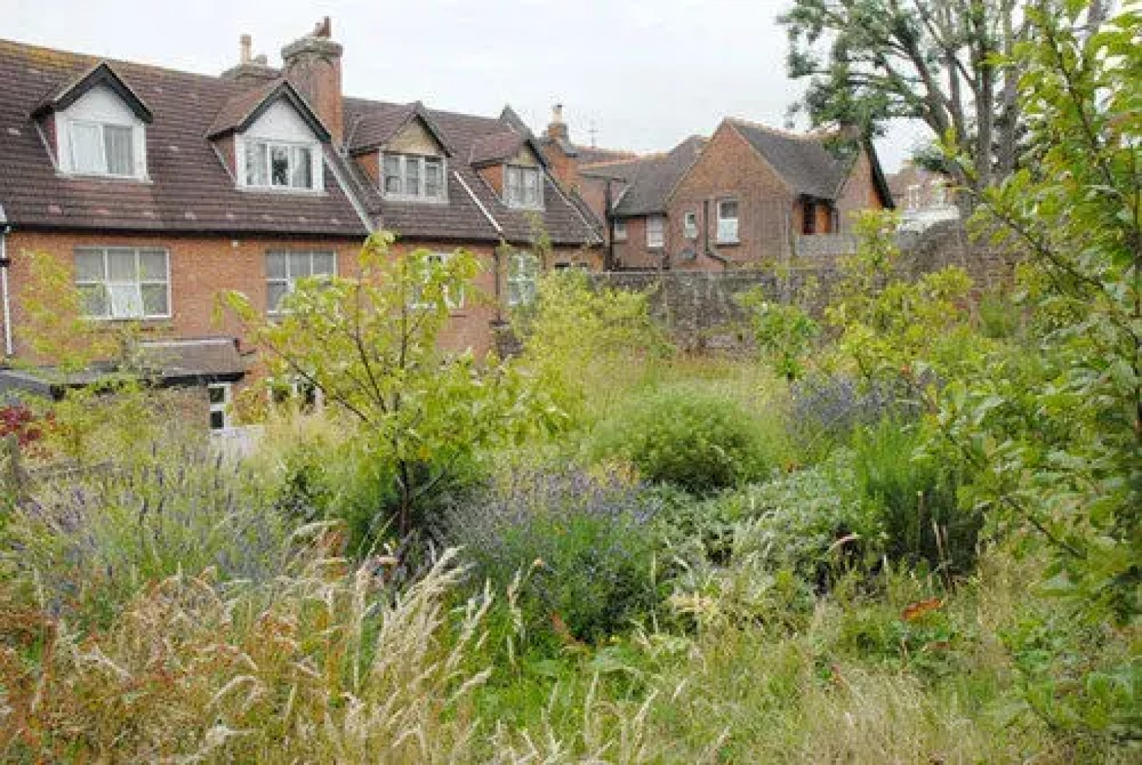 The Cloudesley - Guest house