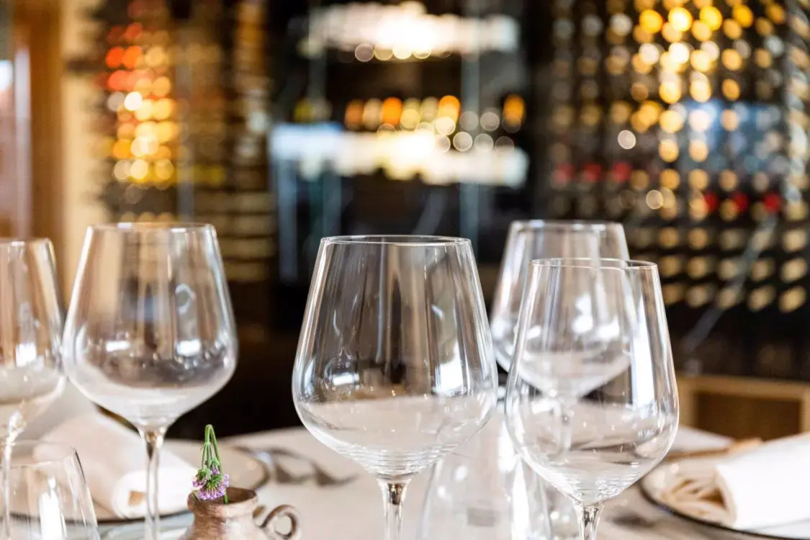 Hábitat Cigueña Negra