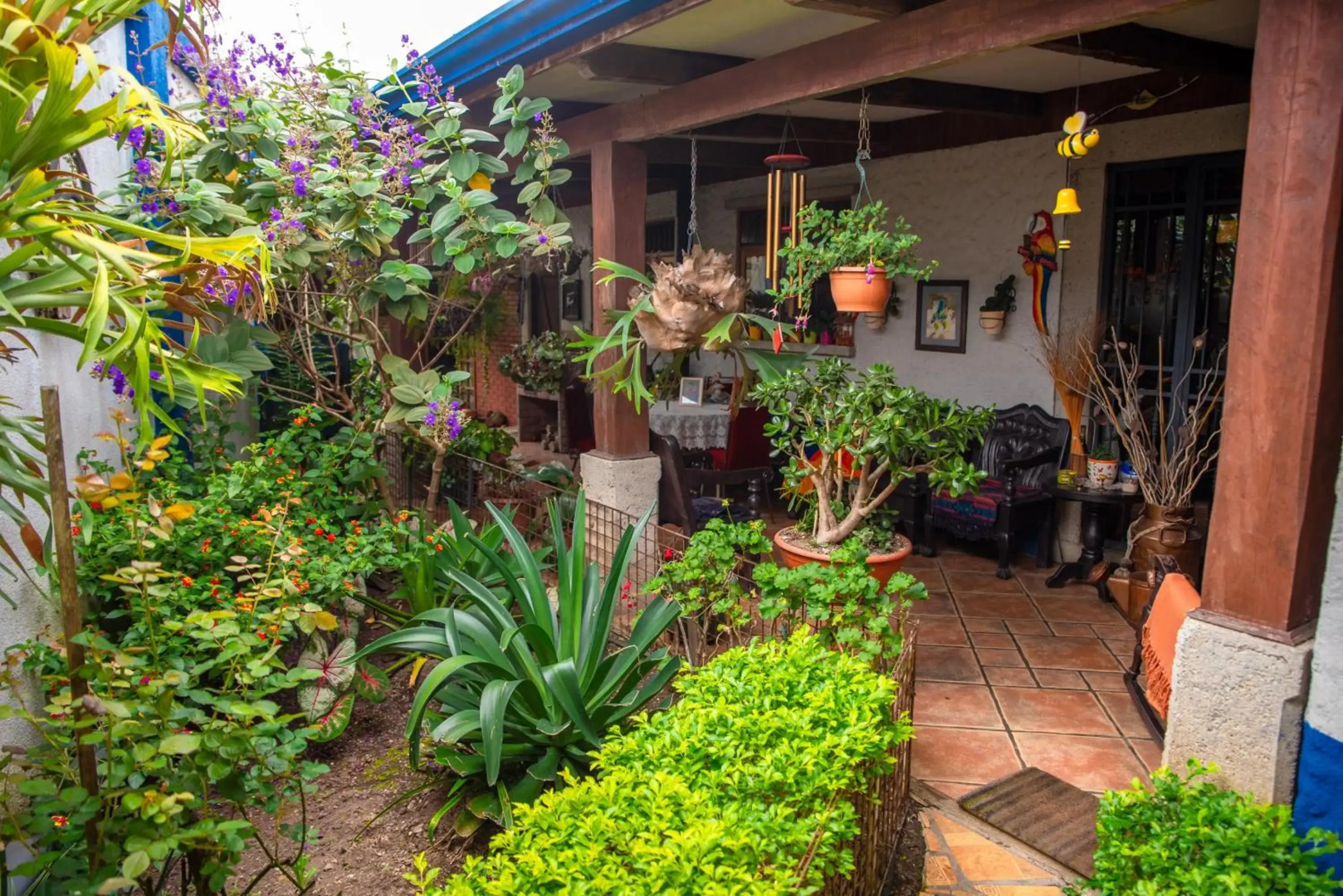 La Casa de Mamá Coyita