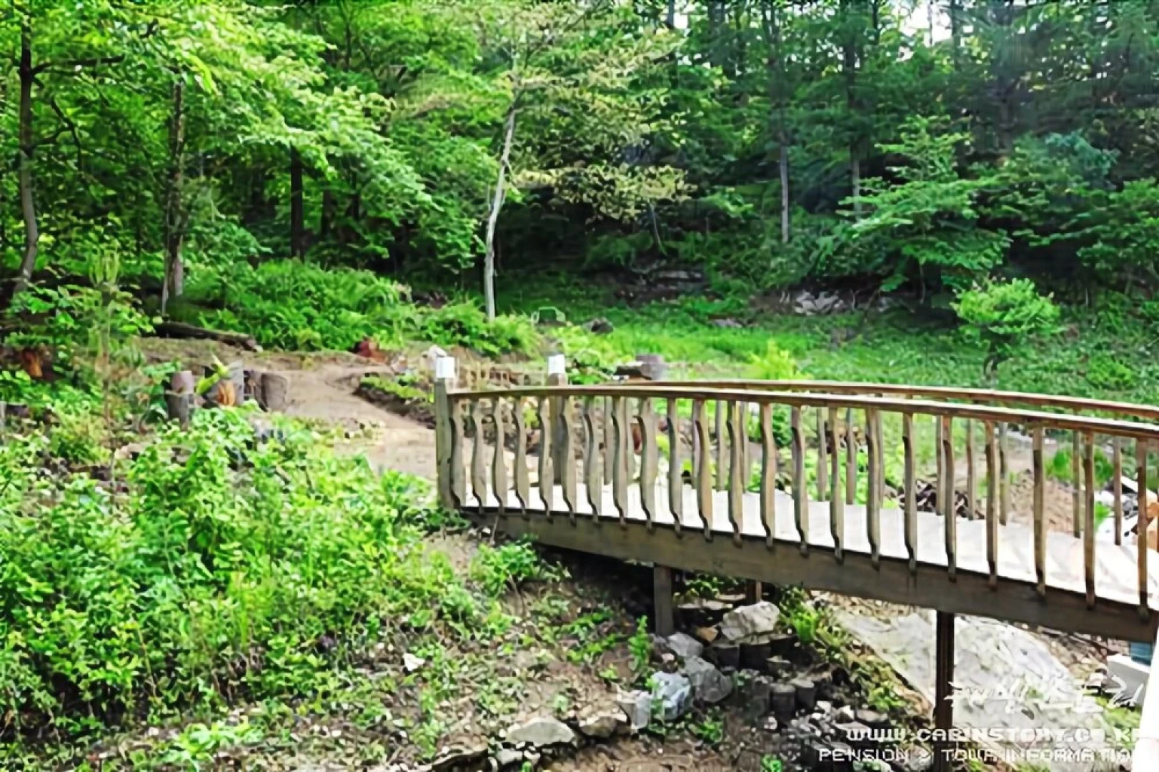 Yangpyeong lime orange