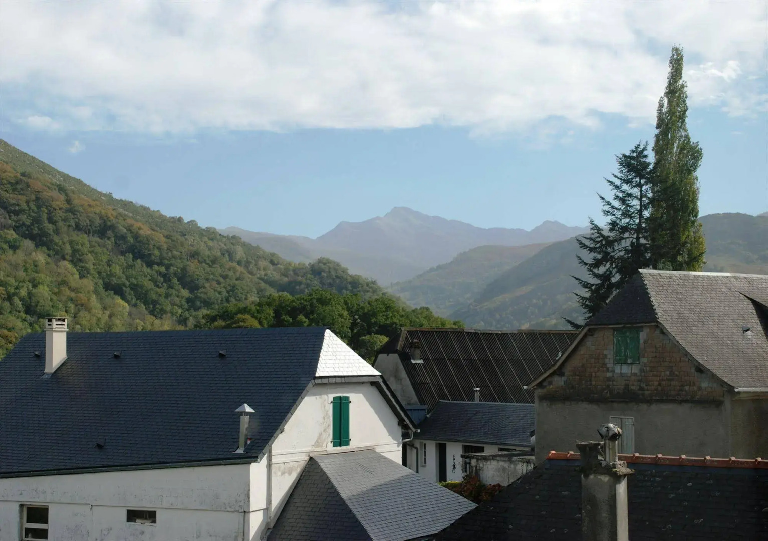 Hôtel Les Gentianes