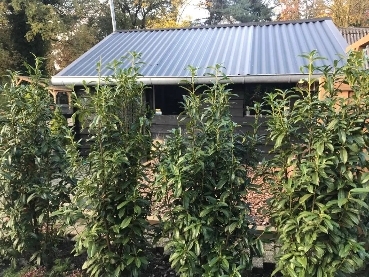 Veluwse Bos en Heide Studio