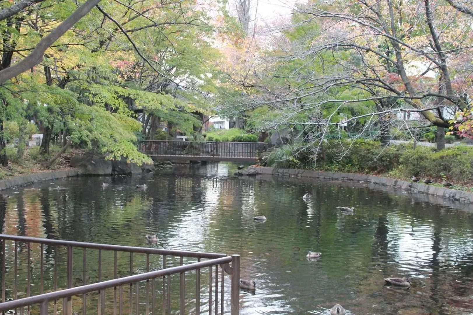 GrapeHouse Koenji - Hostel, - Caters to Women