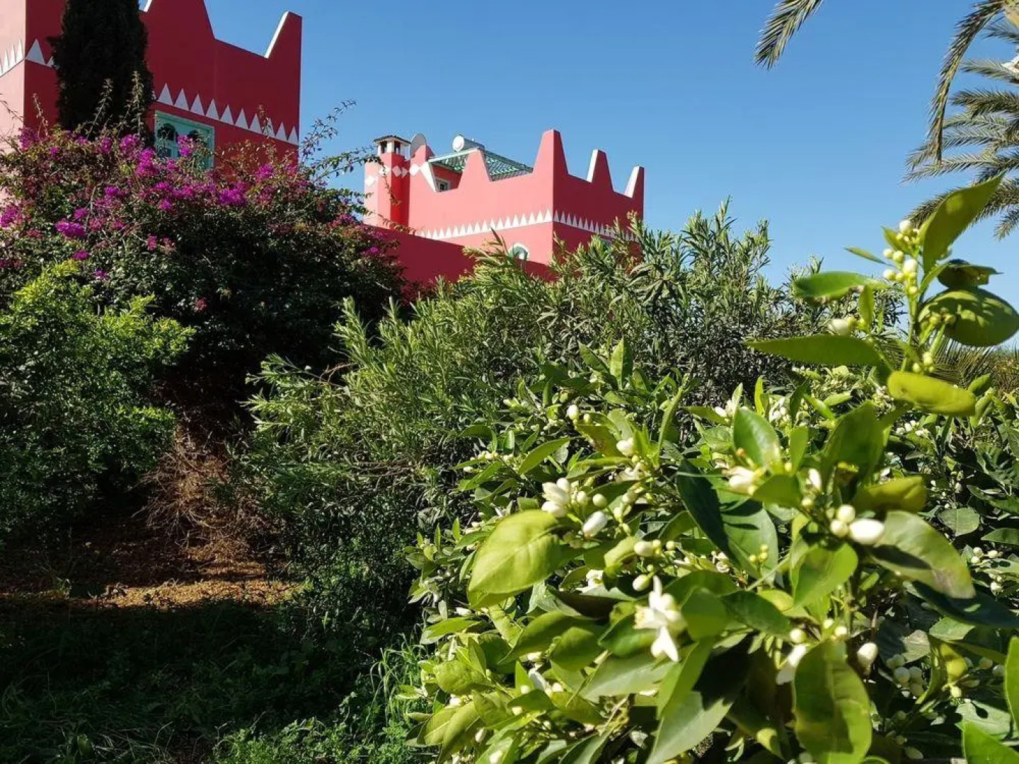 Le Jardin aux Etoiles