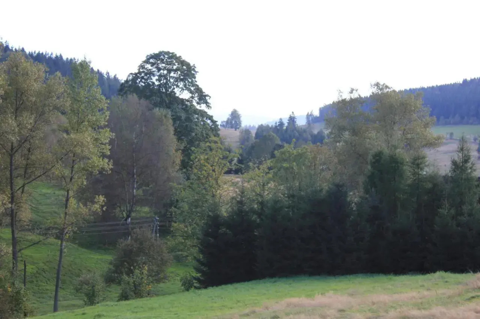 Słoneczna Zagroda - Sunny Ridge Farm