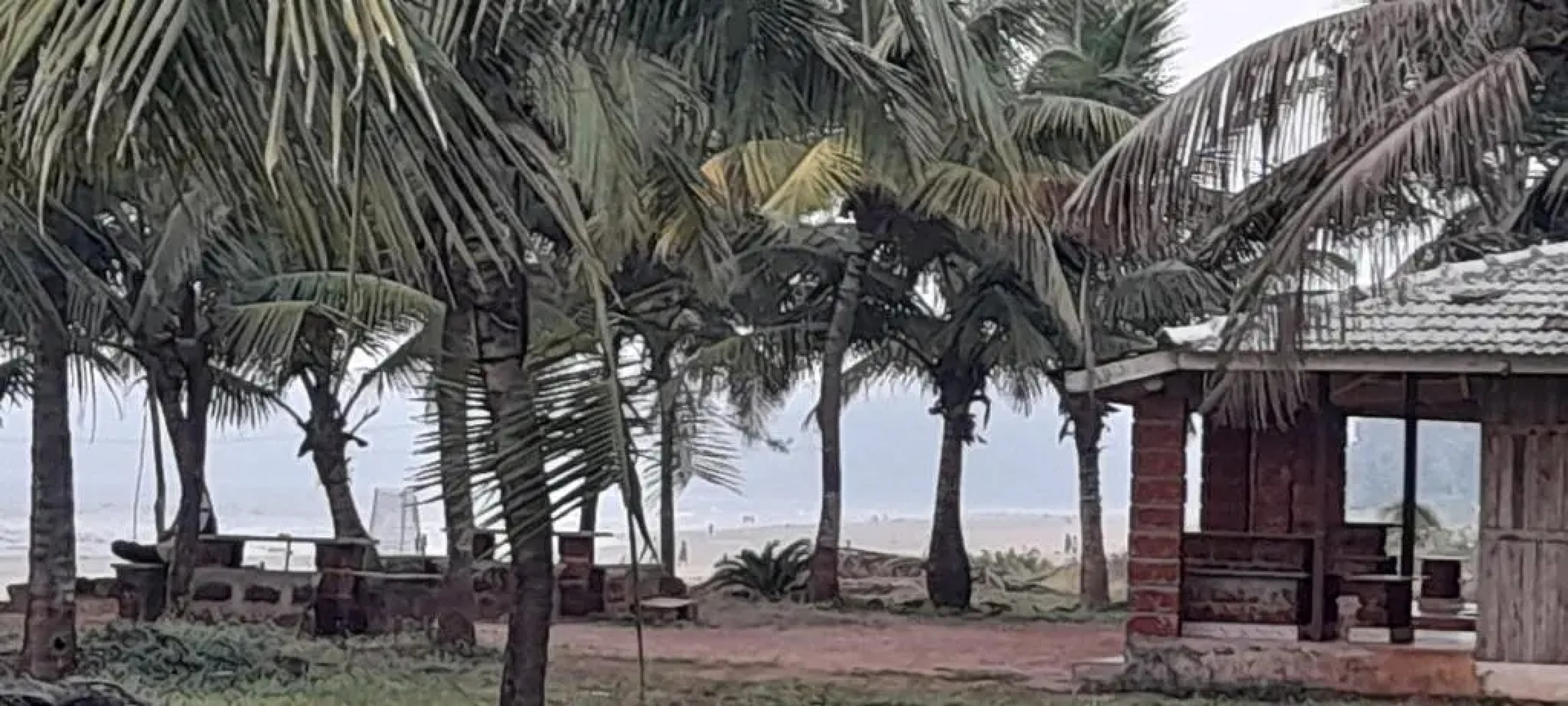 The Woods Beach House