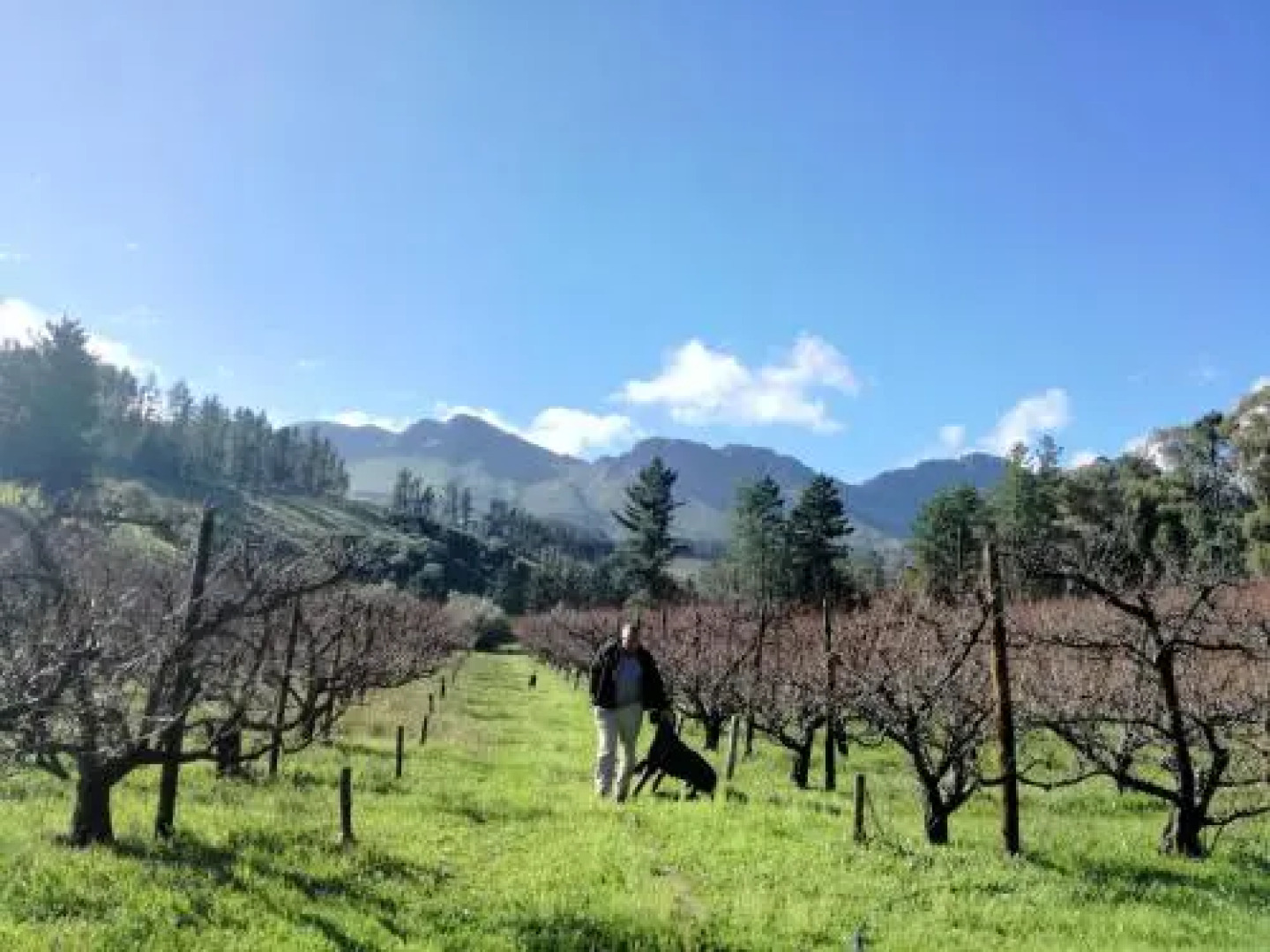 Modderkloof Farm Accommodation
