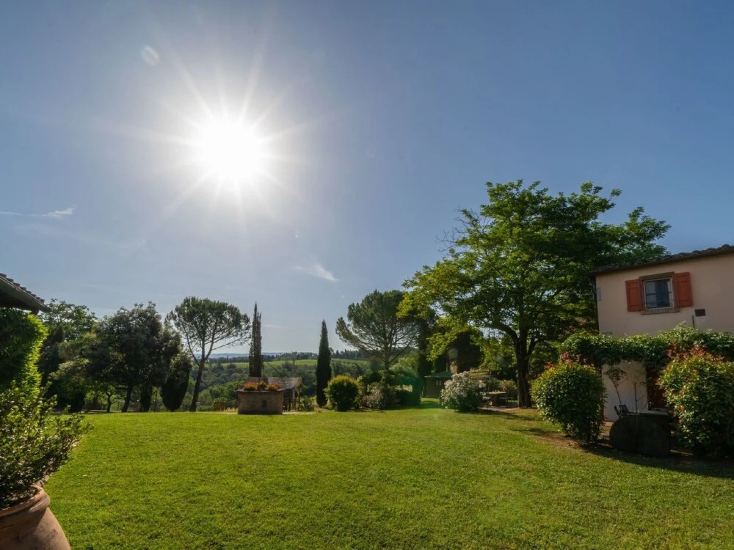 Rosa Montelopio in Montelopio