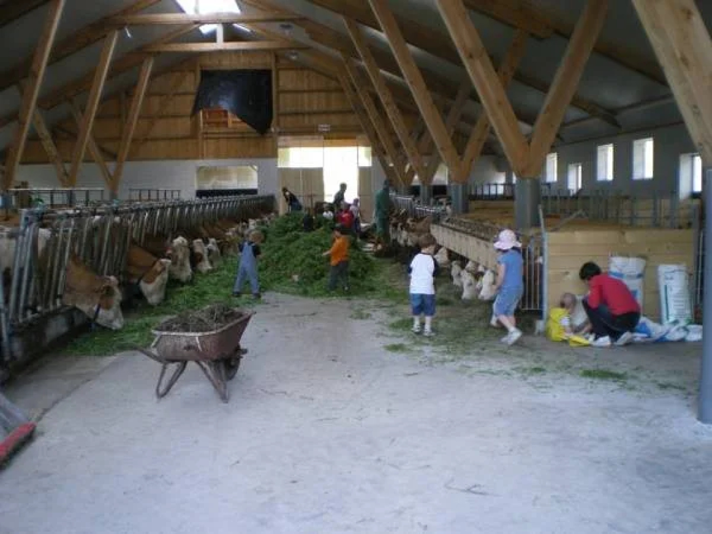 Russbachbauer
