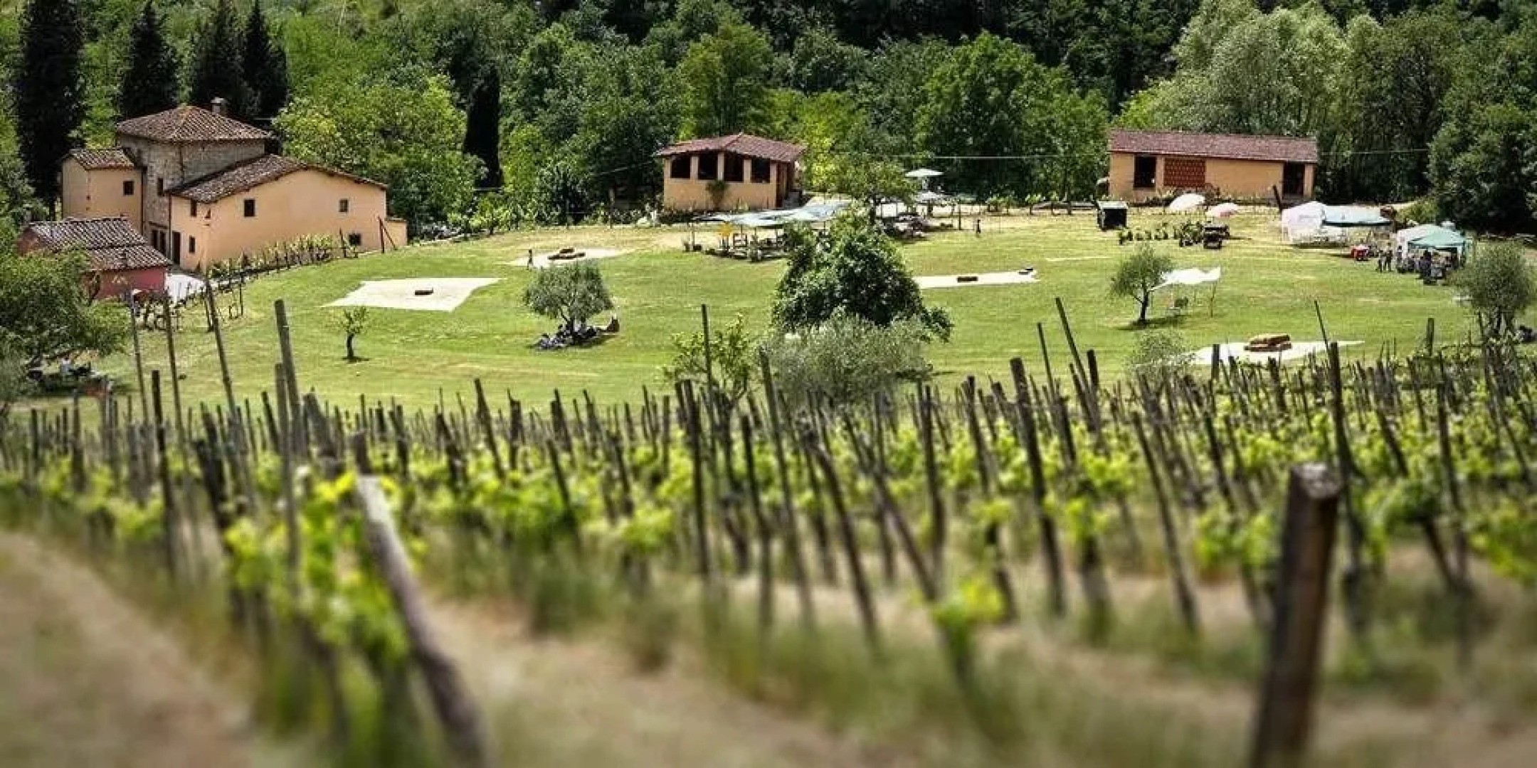 Fattoria dellOrto degli Ulivi