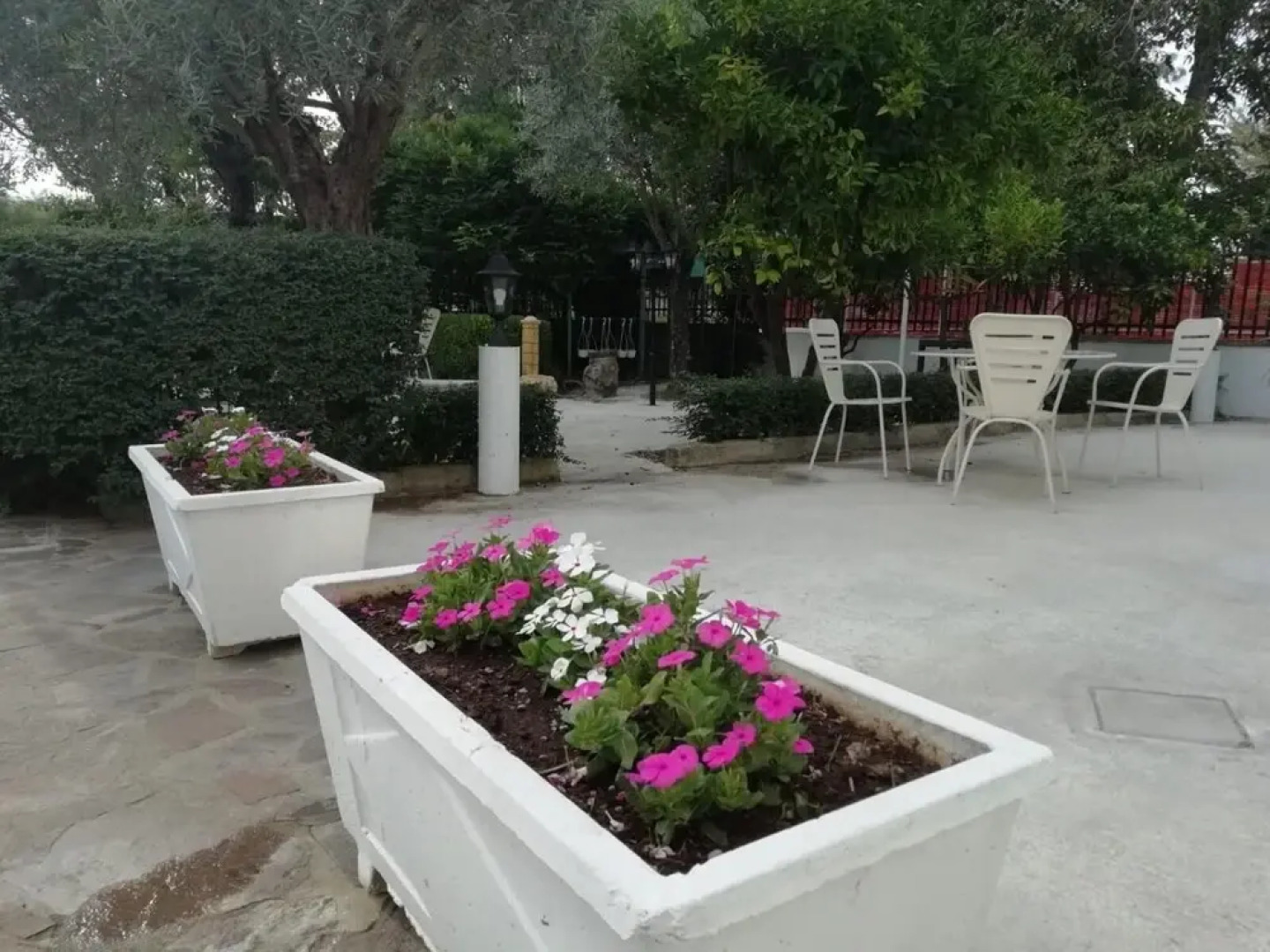 Le Donne di Giannino