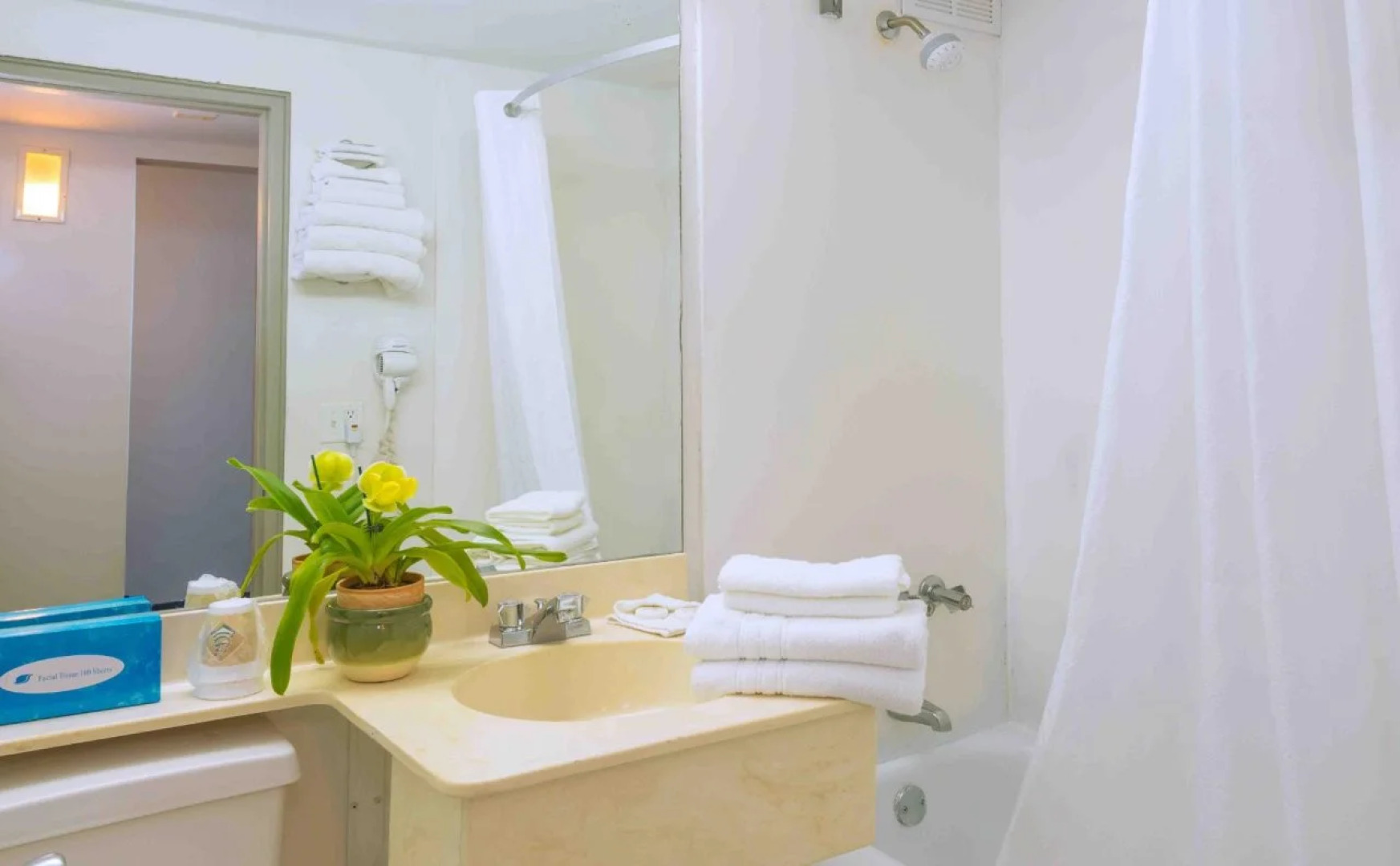 Seagull Hotel Miami Beach