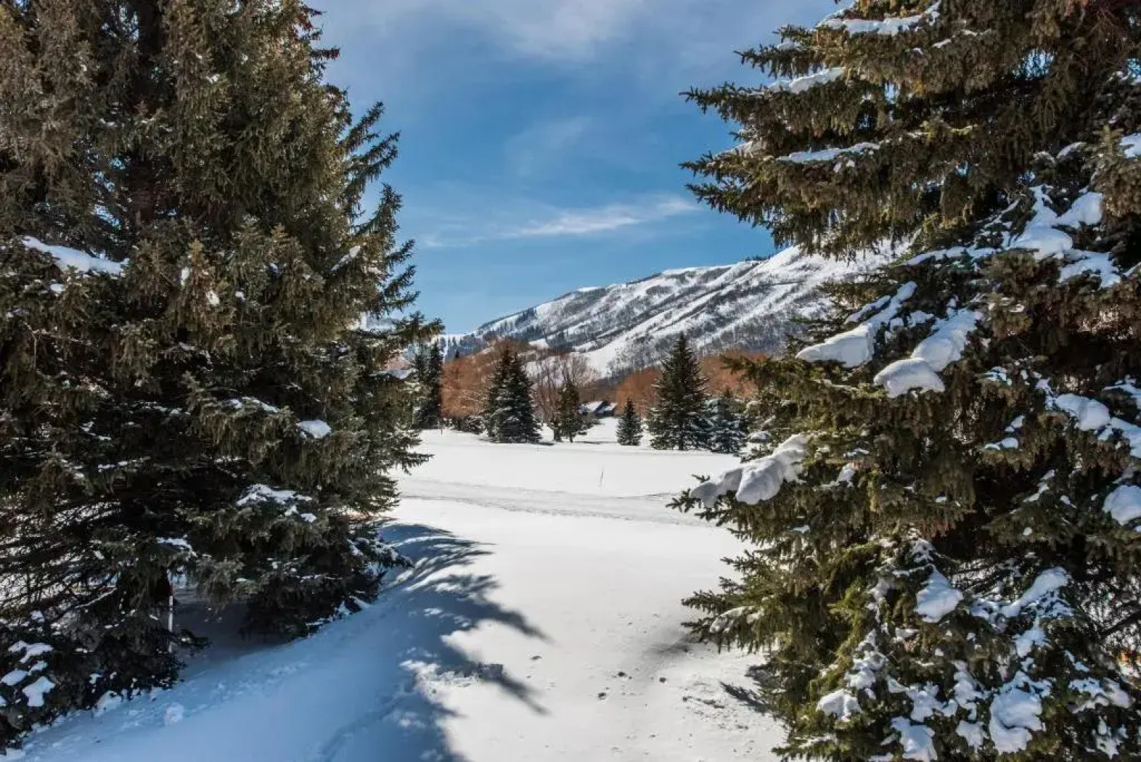 Park Avenue Condominiums | Park City Resort Lodging