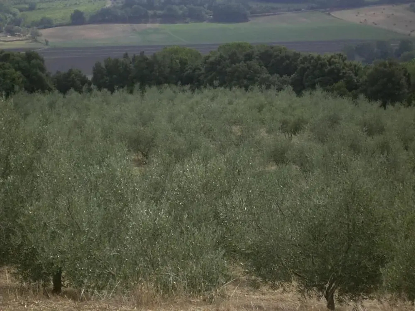 Agriturismo Le Serre