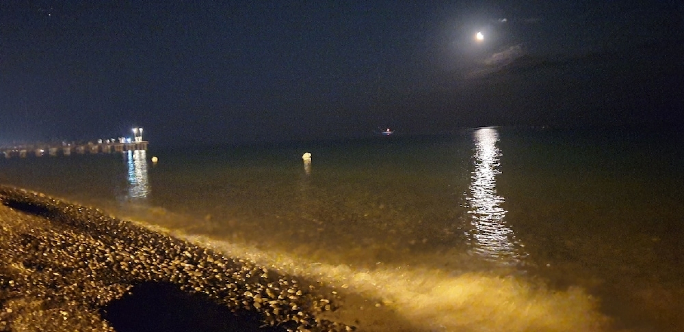 Arancetodamare Artemide