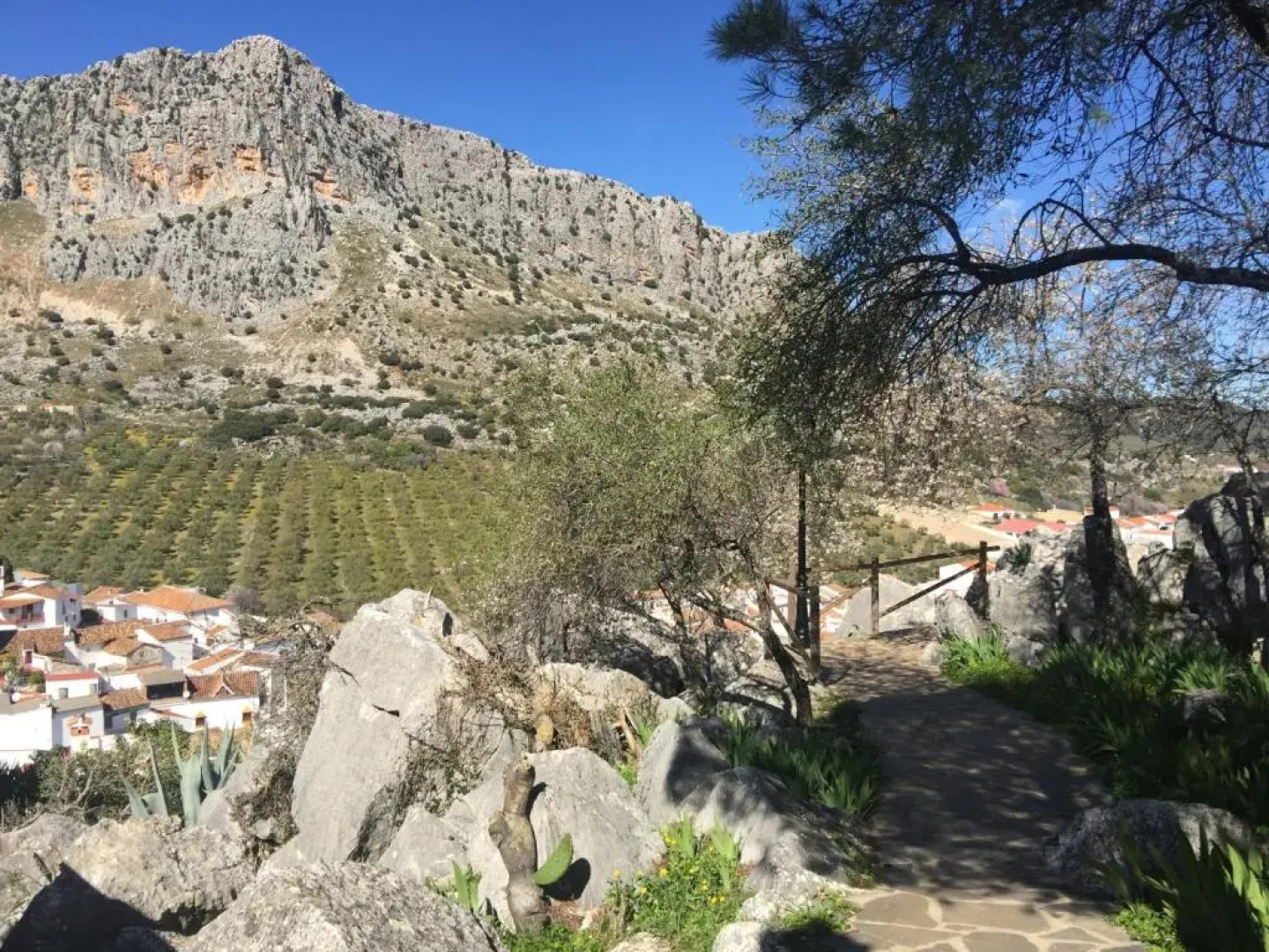 Disfruta De Nuestra Casa En Un Entorno Natural