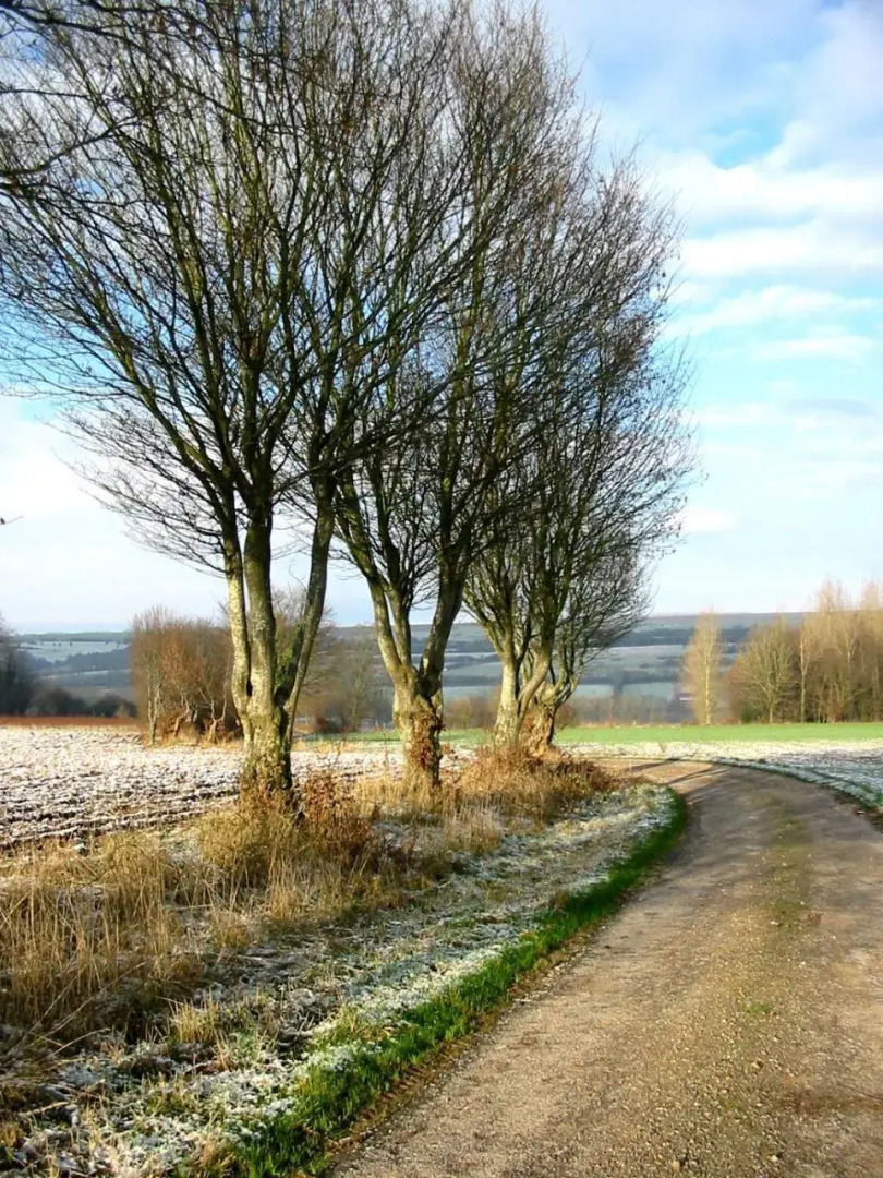 Villa des Groseilliers