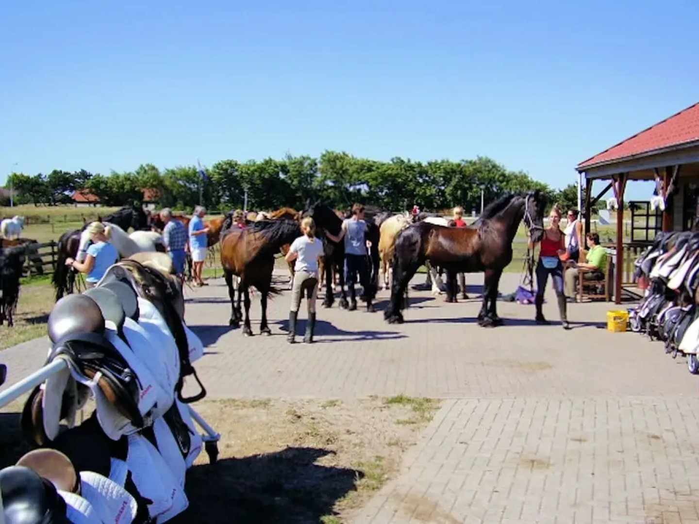Holiday Home With Private Garden by the sea