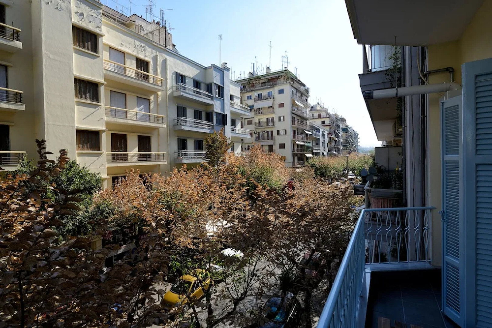 Alpinia Deluxe Apt Must