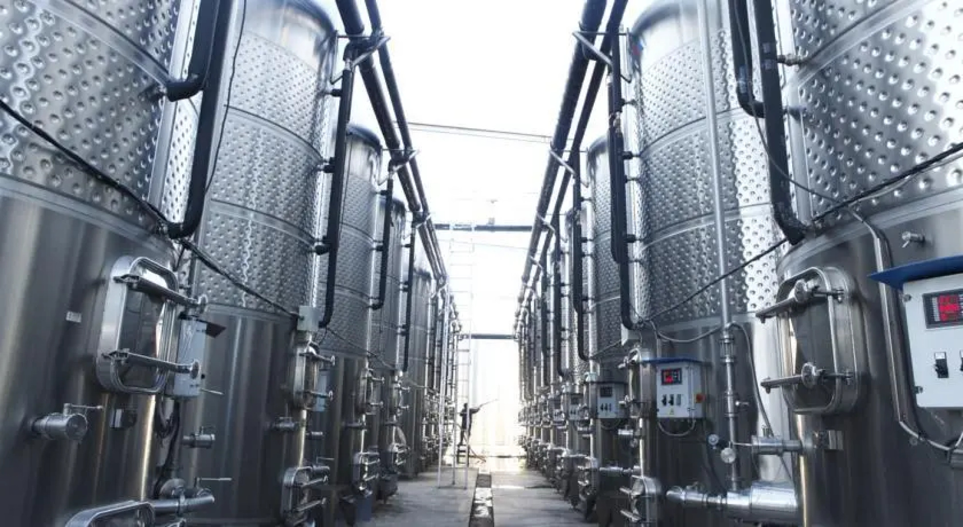 Teliani Valley Guest Hause