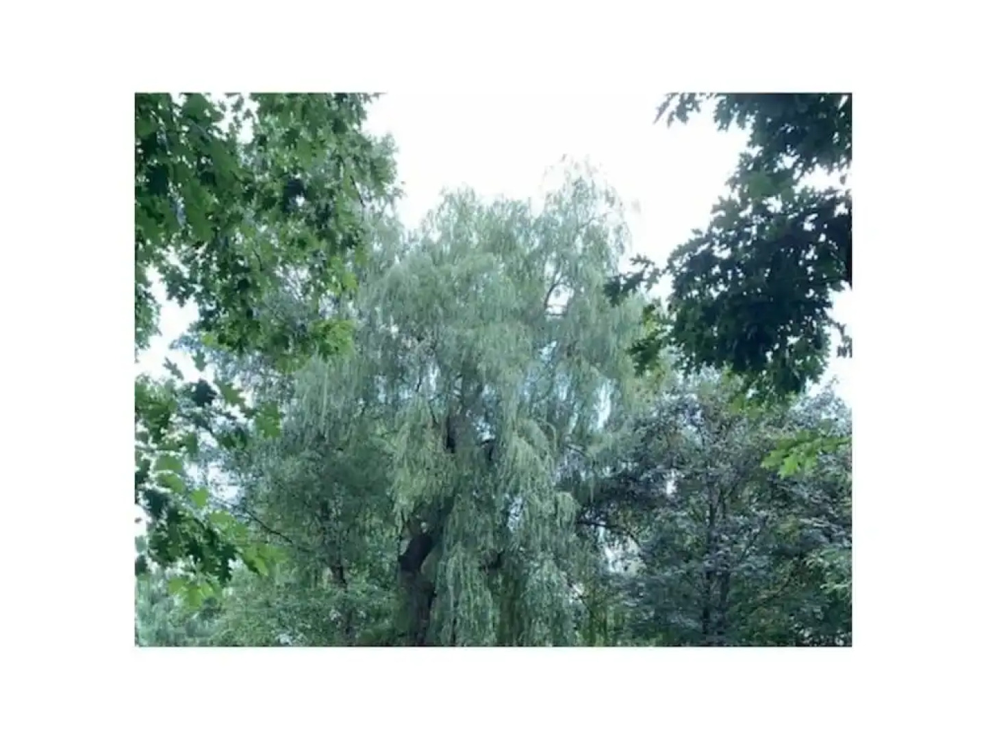 Amazing Holiday Home Near the Lake